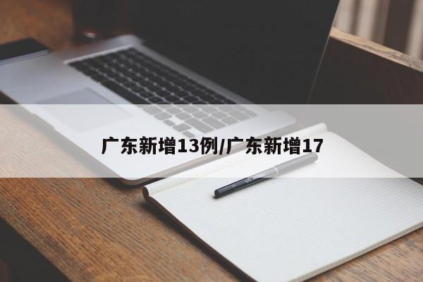 广东新增13例/广东新增17